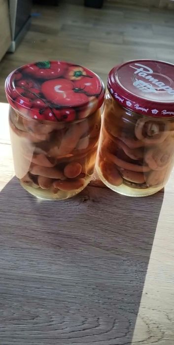 Sprzedam grzyby marynowane