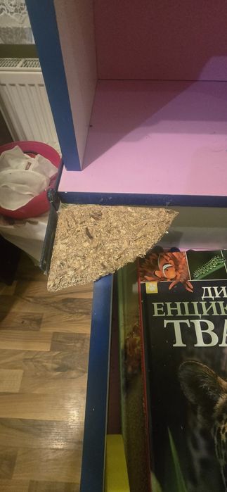 Письмовий стіл рожевий