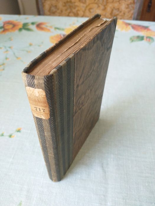 A step szumi, dzwoni, gra - W. Milowicz 1929