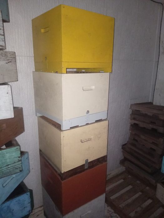 Material apícola: quadros meia alça lusitanos entre outros.
