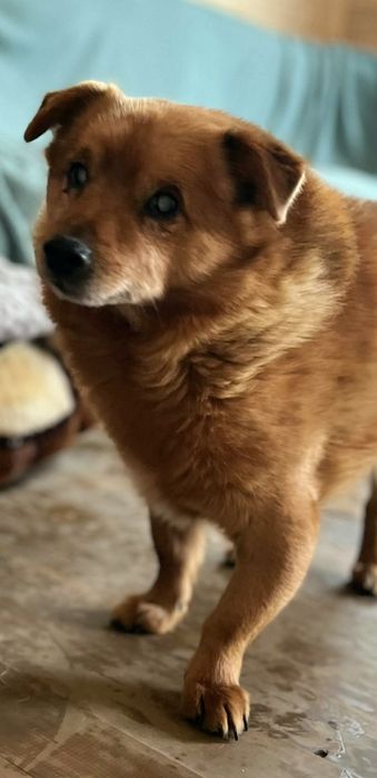 Przekochany Zenuś czeka na cud ...