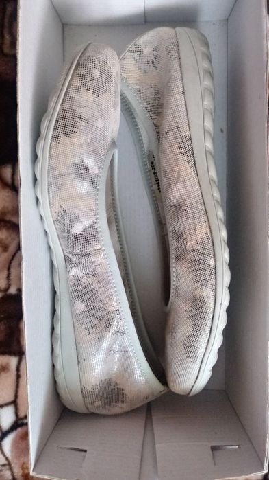 Baleriny-istny hicior