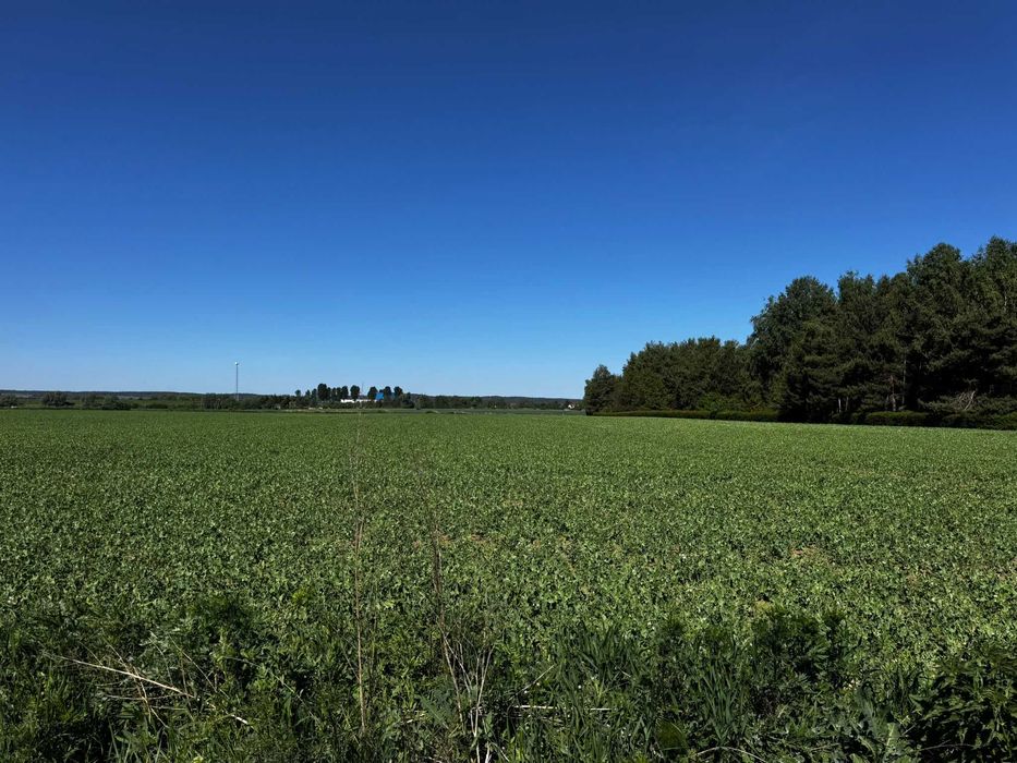 Działki budowlane na sprzedaż-Korzeniewo - Widok 5