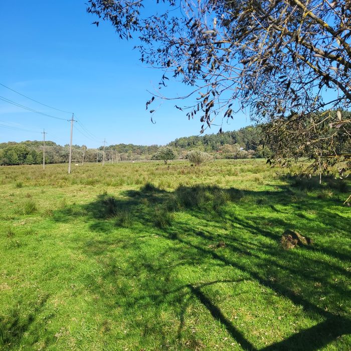 Земельна ділянка с. Лозино