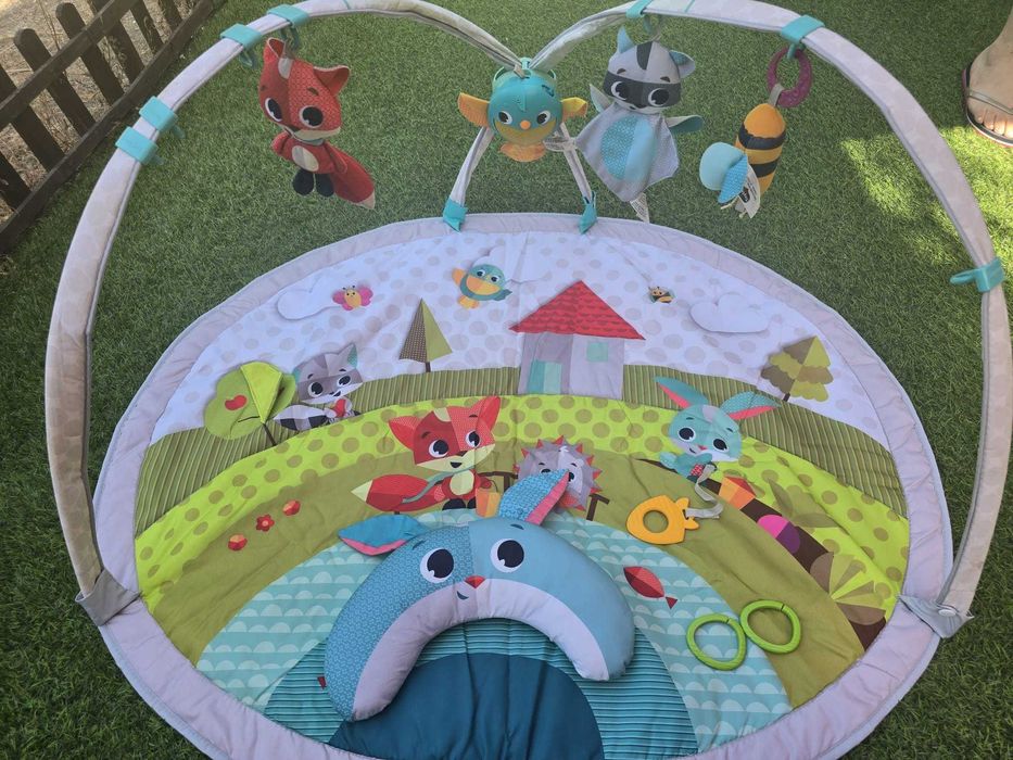 Tiny Love Ginásio Dinâmico Meadow Days