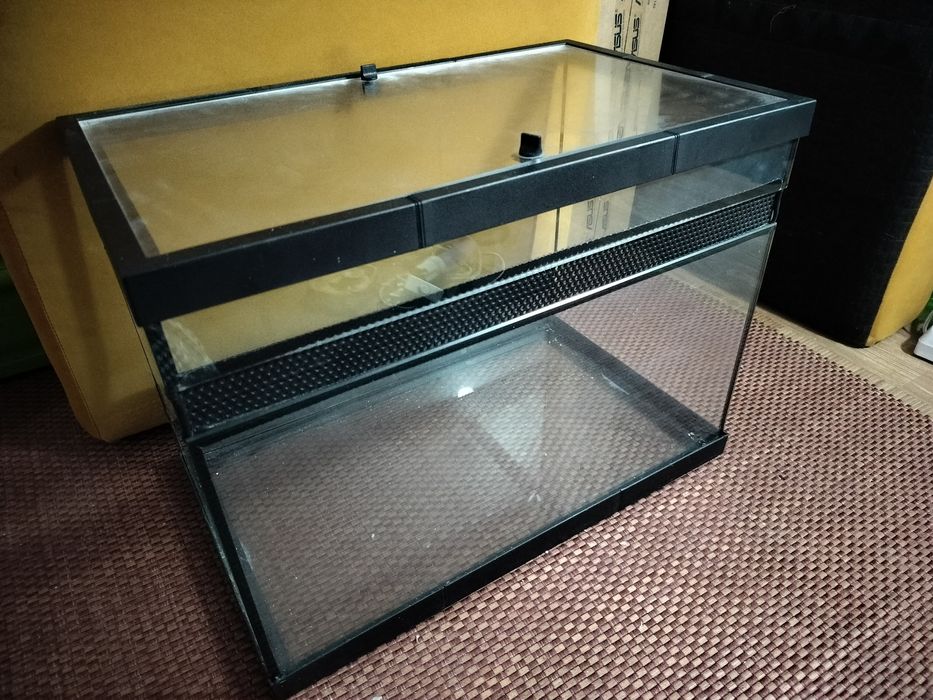 Habitat para animais exóticos