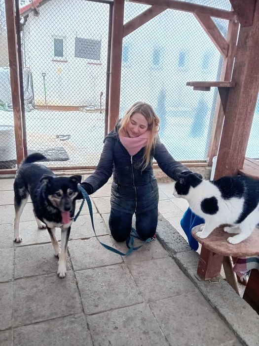 F-I-L-I   - lubi KOTY,  6-letni, łagodny, miły. [FILMIKI}