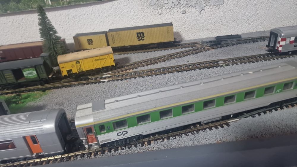 Rare Trains: Read Text and View Photos