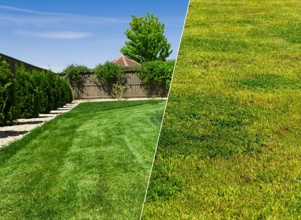 Yara Mila COMPLEX opak. 10 kg, Nawóz do sadu ogrodu na trawę nawóz