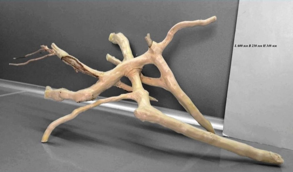 Коряга в Аквариум/террариум с дерева  КЛЕН