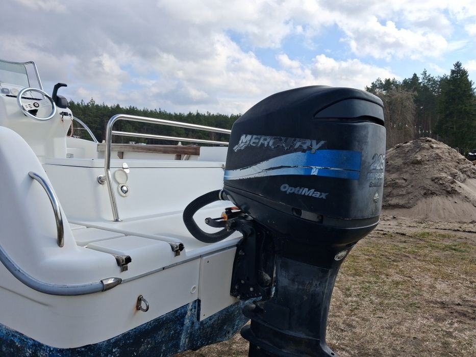 Silnik zaburtowy mercury optimax 225