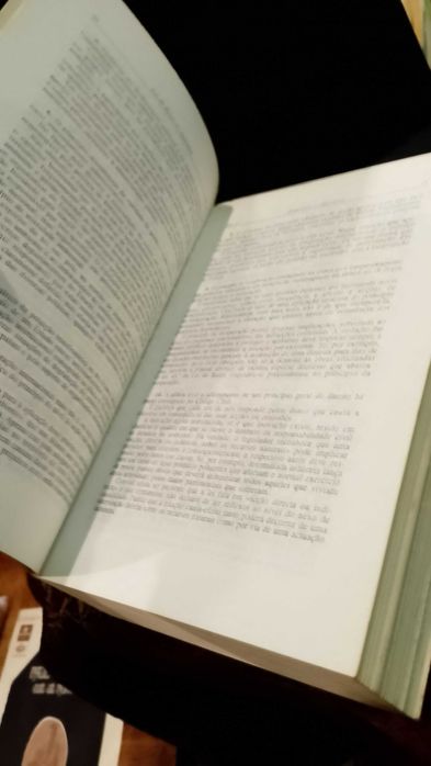 Lei de bases do Ambiente - João Pereira Reis