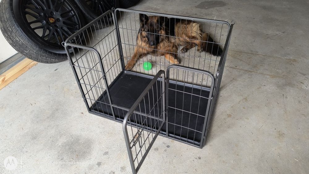 Klatka, kojec, zagroda dla psa.