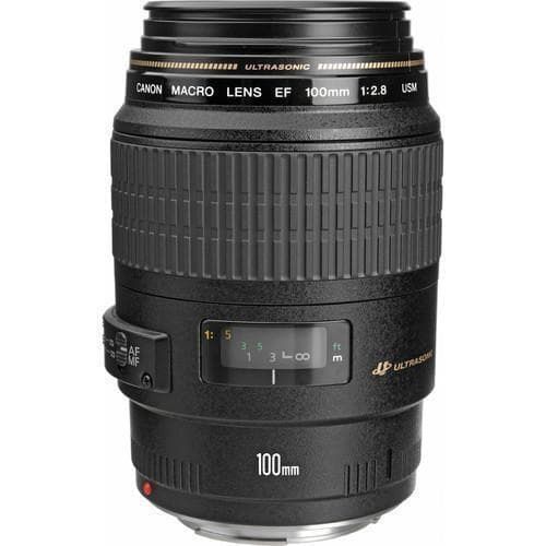 Lente Canon EF 100mm f/2.8 Macro USM EF 100mm f/2.8+ Adaptador Canon EF-M