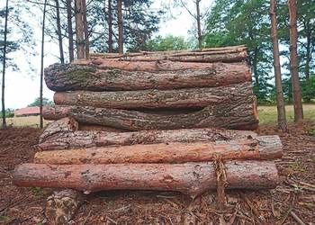 Drewno w walku, opałowe, kominkowe, do pieca,transport HDS