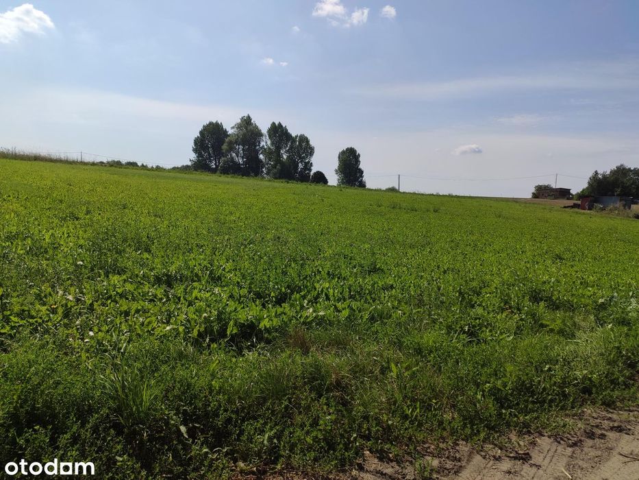 Działka Z Widokiem Na Jezioro