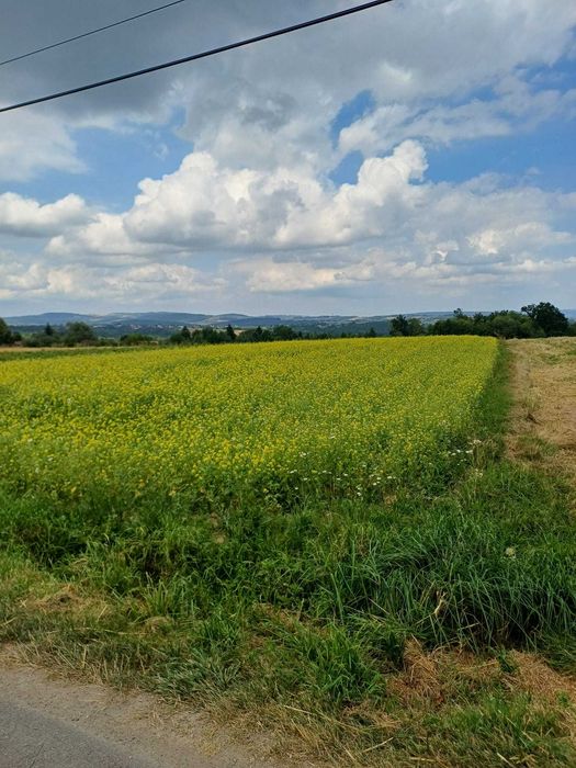 Widokowa działka w górach z widokiem na Kotlinę Sadecką oraz na Tatry - Widok 4