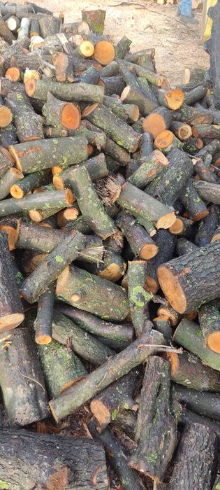 Drewno opałowe rąbane suche Olsza Brzoza Sosna Lipa Dowóz Na Wymiar