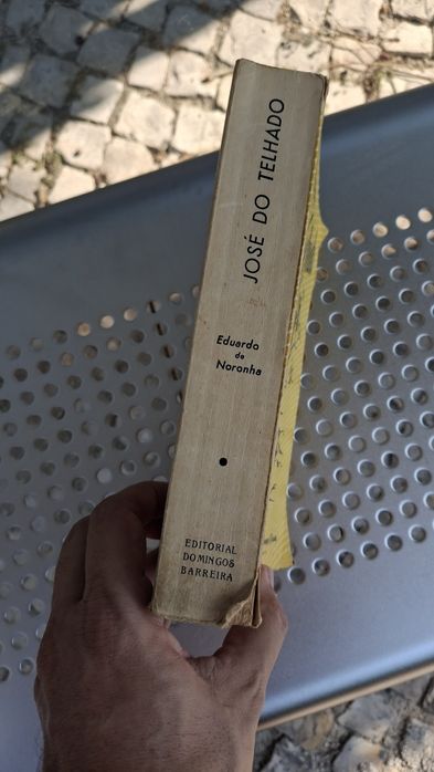 Zé do Telhado livro raro 2 edição Eduardo Noronha