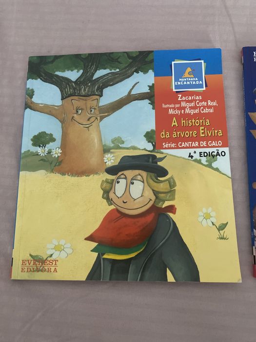 Livros Zacarias - montanha encantada