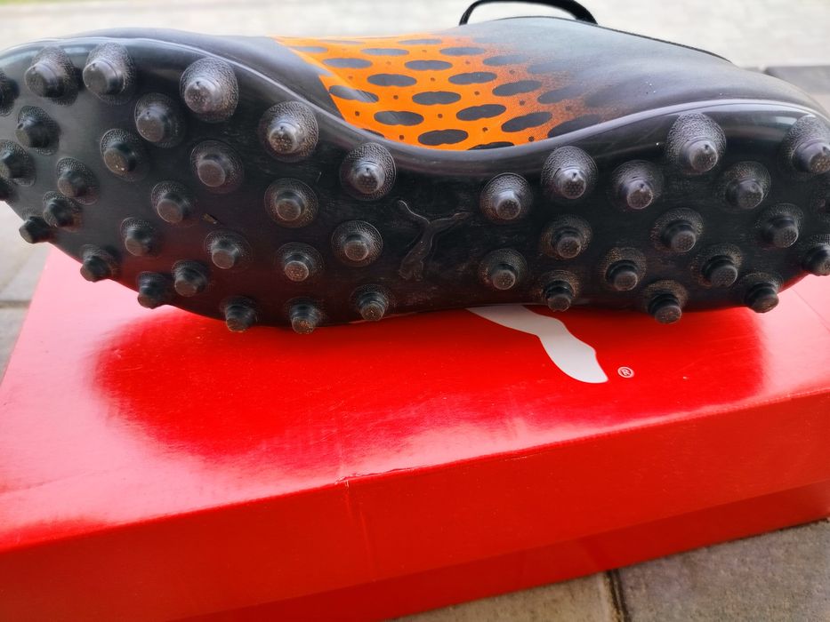 Korkowce oryginalne Pumy