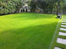 Projektowanie ogrodów Zakładanie ogrodów Pielęgnacja Usługi ogrodnicze