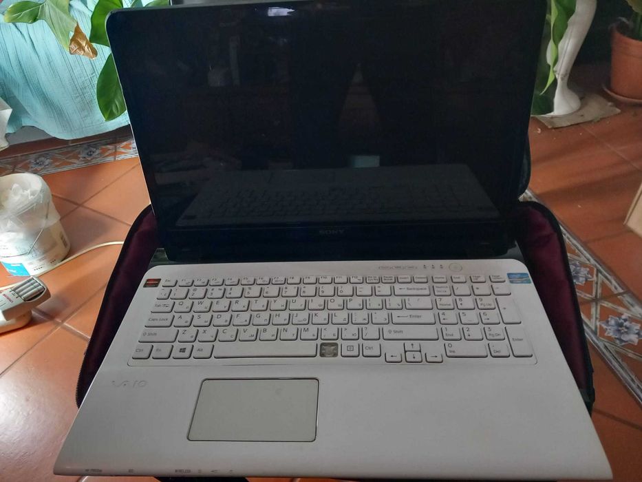 Sony Vaio SVE171E13V para peças