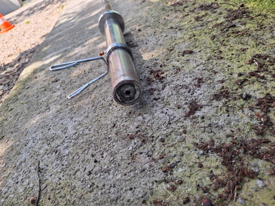 Gryf olimpijski Polsport