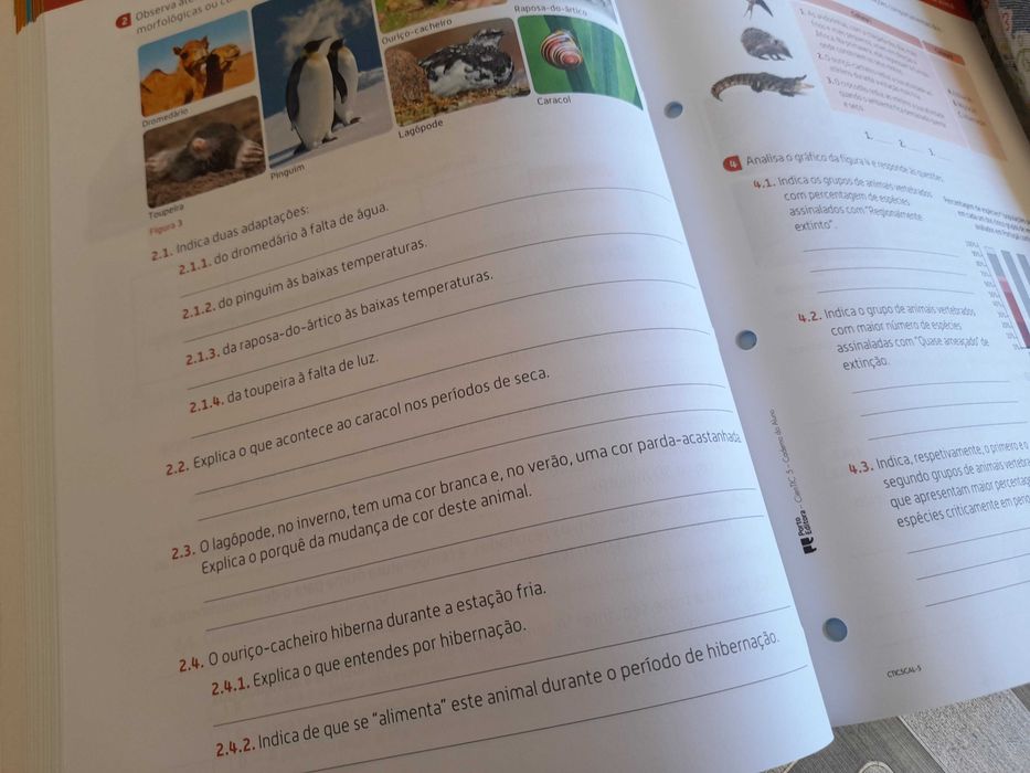 Science Activity Workbook430981908687104001