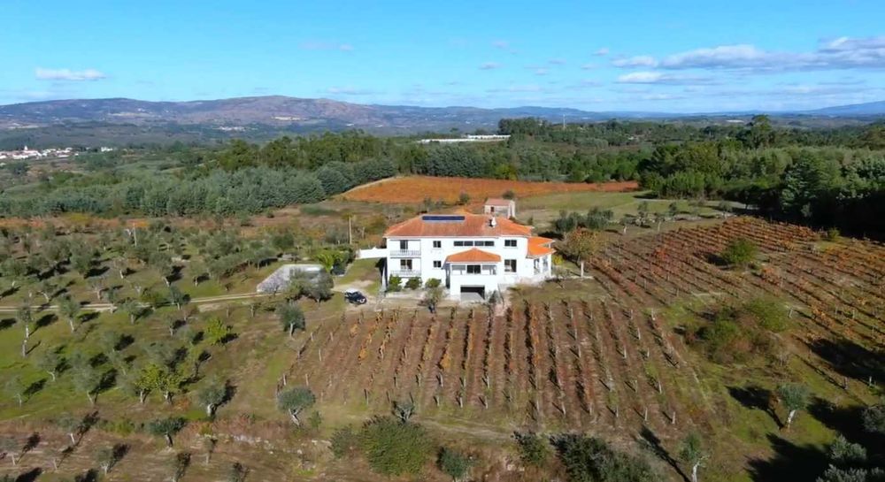 Quinta com Moradia T4 com possibilidade T5, Piscina, Vinha e 10,2 ha Região do Dão – Serra da Estrela
