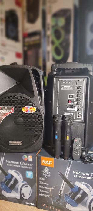 Караоке акустика Temeisheng-18, Bluetooth,SD,USB,FM,ПультДУ,2штмикро