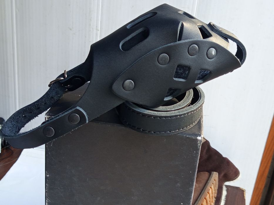 Собачий ошейник и намордник