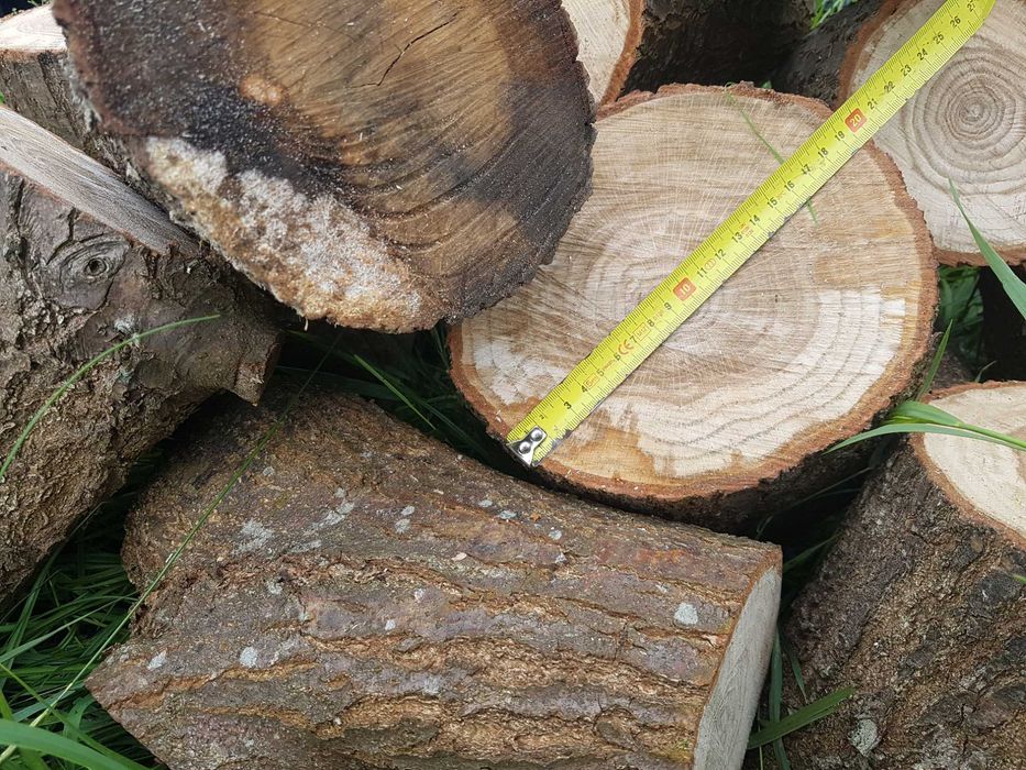 Drewno kominkowe i opałowe
