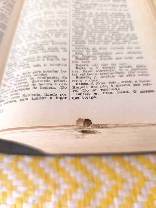 Pequeno Dicionário da Língua Portuguesa – 
Cândido de Figueiredo