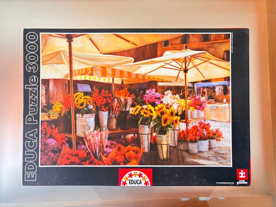Puzzles 3000 peças