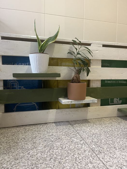 Baú com floreira em palete