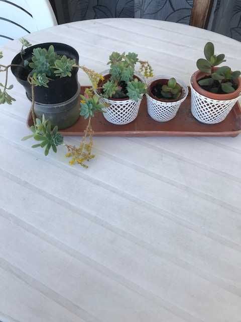 Presentinhos de Natal
