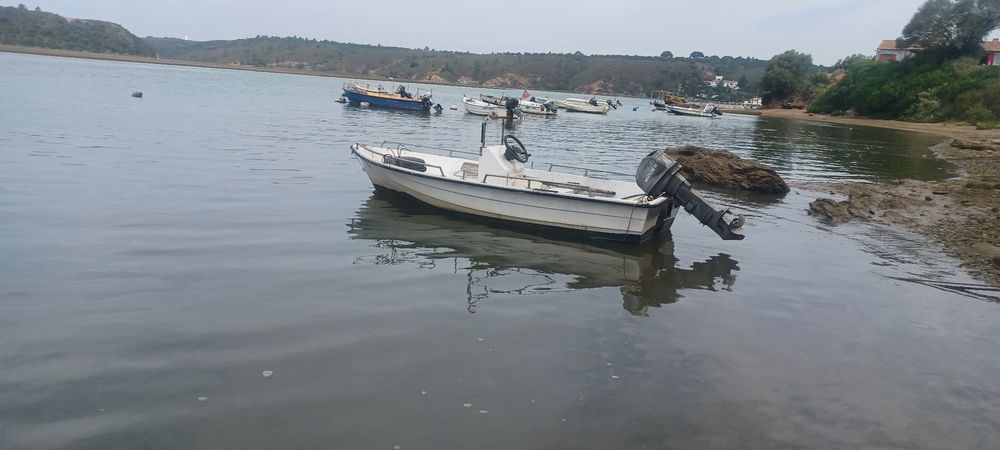 Barco de Pesca 25Hp