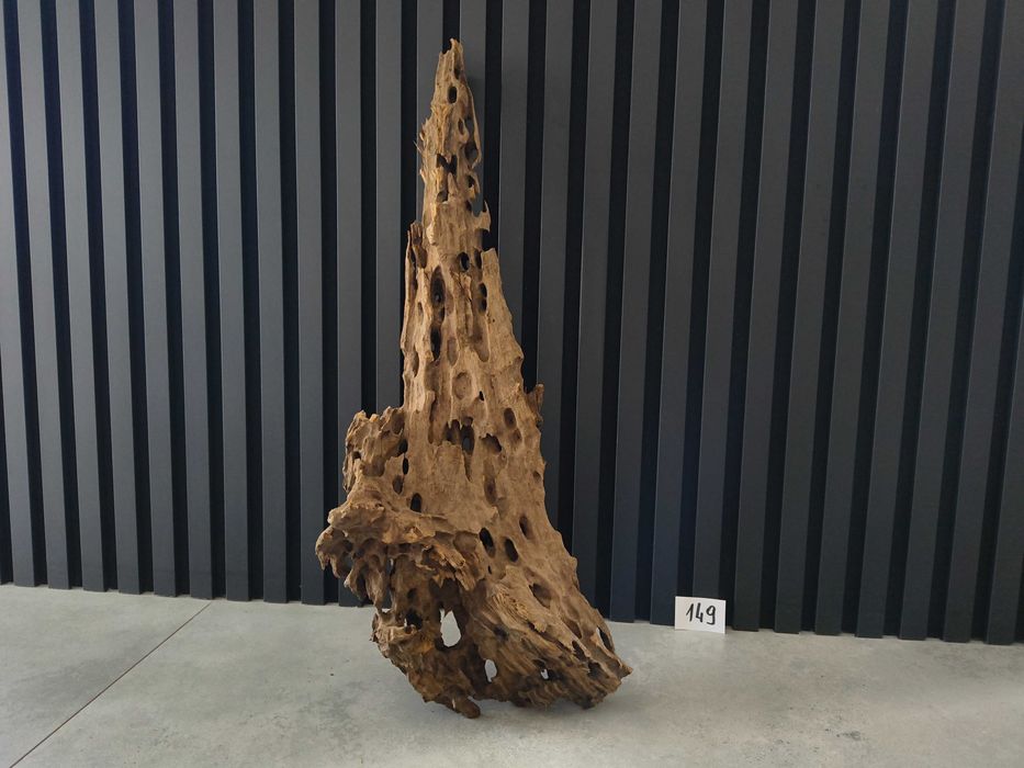 korzeń Driftwood Dragonwood 4003 DZIURAWY akwarium terrarium 60x30x20