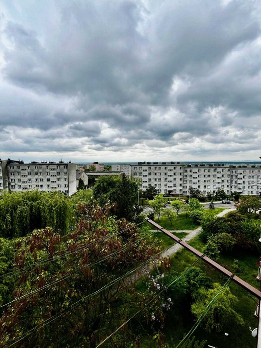 Zdjęcie 8