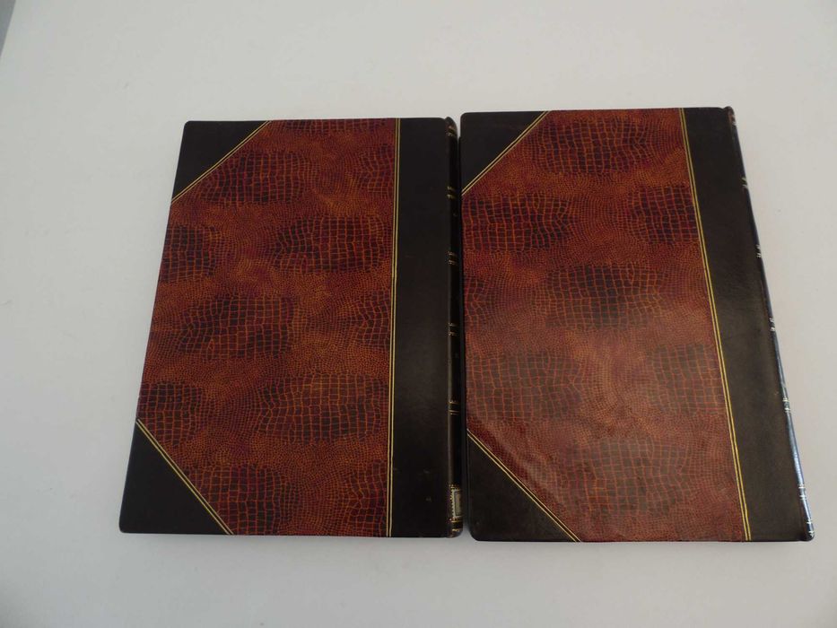 Par de Livros Sciencia Sexual - 1923/1924