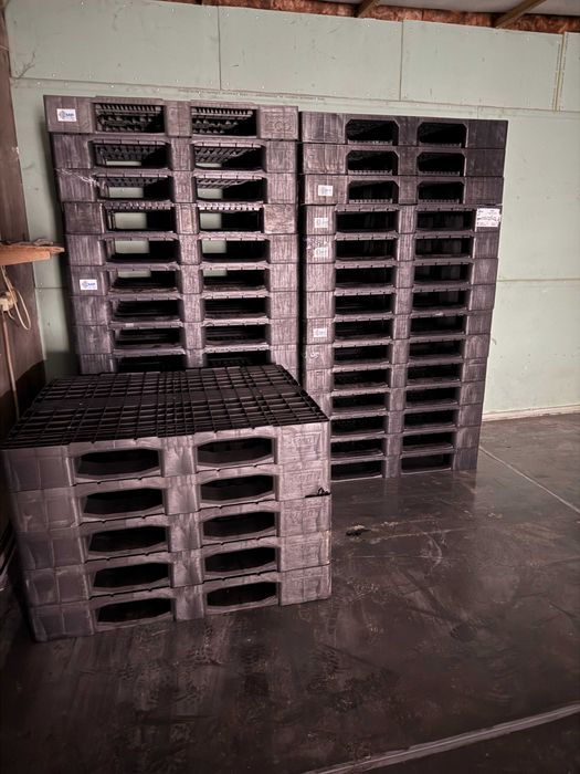 Пластиковые поддоны б/у