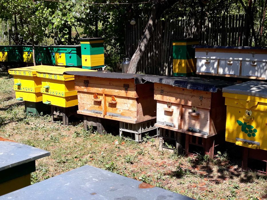 Вулики для бджіл