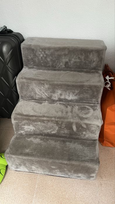 Escadaria para cão