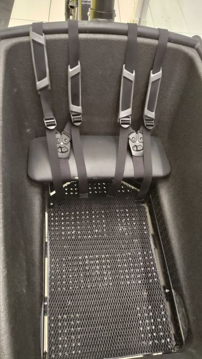 Rower cargo Urban Arrow Family Smart System | pasek Gates