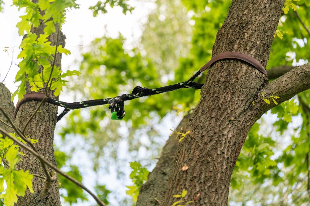 WYCINKA i pielęgnacja DRZEW ARBORYSTA rębak do gałęzi frezowanie pni