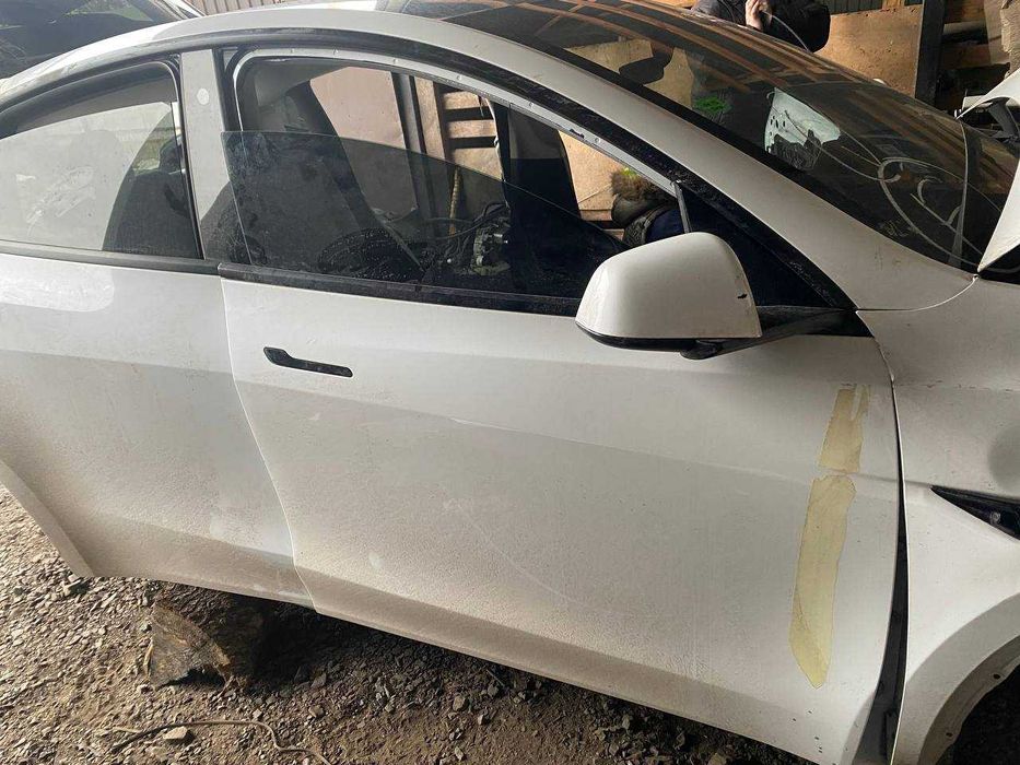 Двері Tesla Model Y білі сині