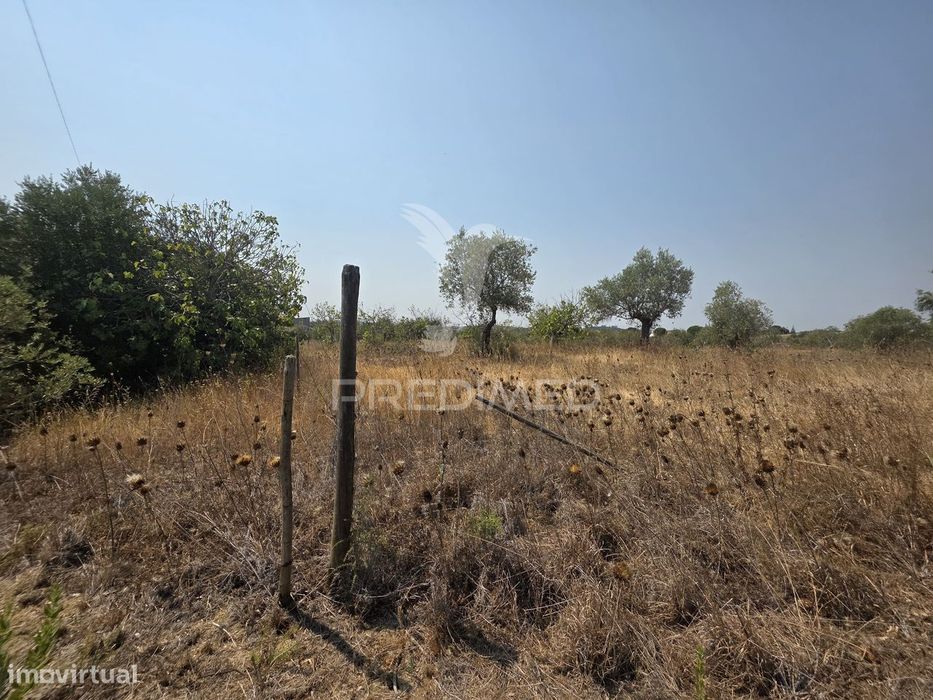 Terreno com Ruína para Reconstrução, Casével – Santarém