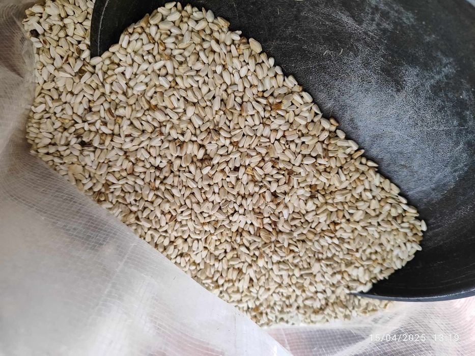 Ovos galinhas felizes