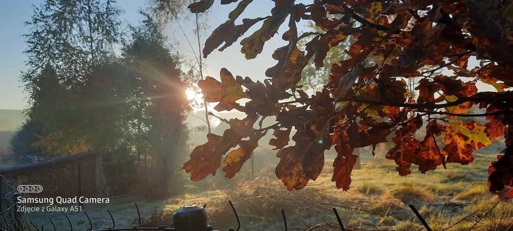 Korepetycje z języka angielskiego:)